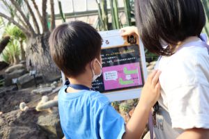 シャボテンエリア