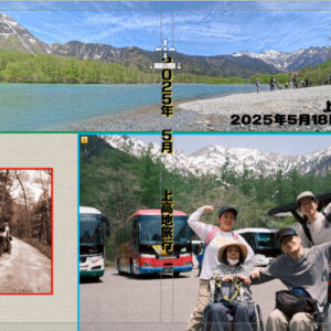 アルバム表裏表紙