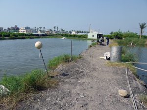 釣り場の足場