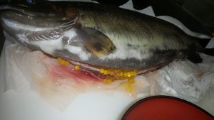 おおお！予感的中！！