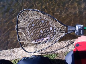 春先はイワナ系もトップで！！