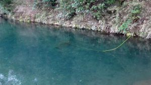 リバーピーク撚り糸での実際