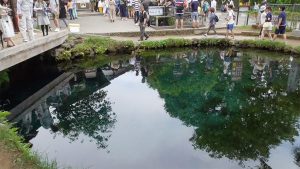 忍野八海涌池の透明度