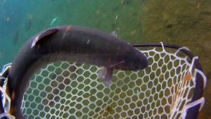 師匠にコンディションは関係ない！？