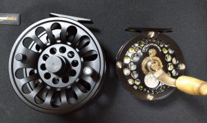 この大きさの違い！