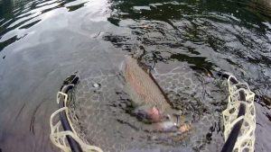 今日も流石です！