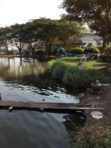 ブンマーポンドにてK氏