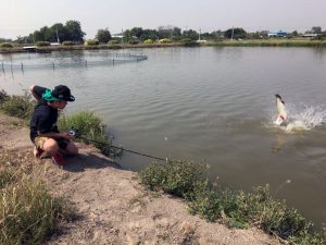 H氏のファイトシーン