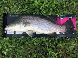 今年は大型揃いで大変