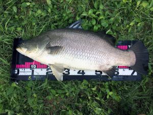 今回の最大サイズで１２kg