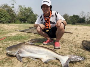 Ｋ氏とチャオプラヤキャット