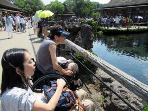 忍野の中池の鱒に見惚れる