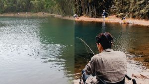 (左)未適用　(右)適用済み