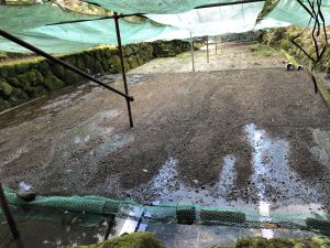 水がありませんね