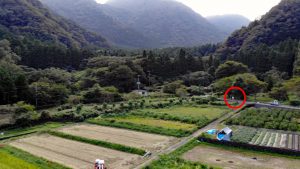 ここにいまーす！