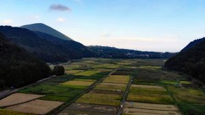 大室山と池の田んぼ