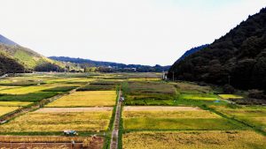 谷間に広がる田畑