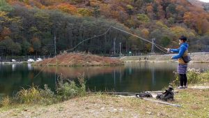 お持ち帰り可の２号池