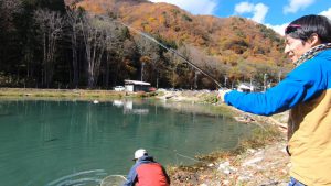 ３号池で早速１匹