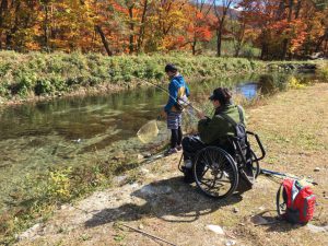 ストリームエリア