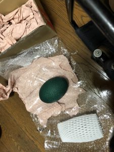 エミューの卵が届きました