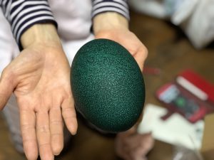 エミューの卵のアップ