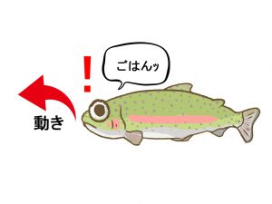 早い動きのある釣り