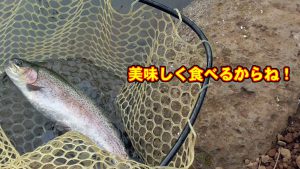 やっとの思いで鱒が数匹釣れた