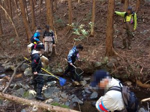 魚類生態調査の様子②