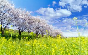 サンプル画像加工前1