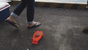 餌付器とコマセ餌