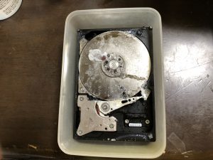 1週間後にこうなった