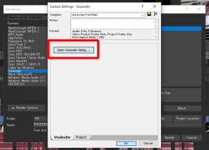 Voukoderの設定方法２