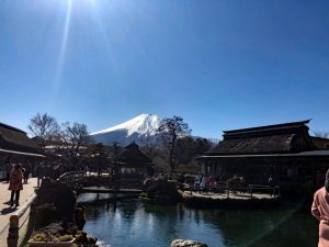 昼食後の散歩は忍野八海