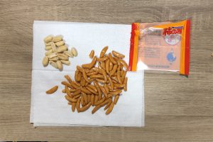 旧小袋の中身を出してみた