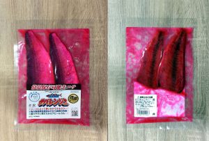 サバレンジャーのレッド