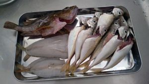 お土産にも大満足！