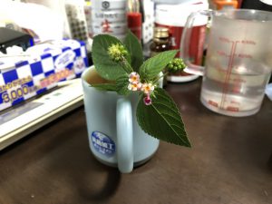 スマホでの撮影