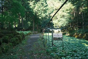 わさび田もしっかり撮影