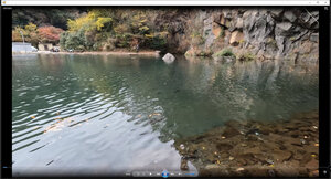 正しい画角の映像