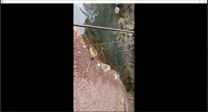 TikTokのような縦の映像