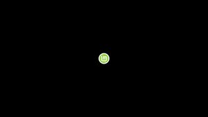 Linux Mint起動中