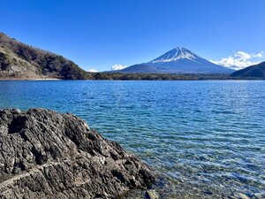 レイクトラウトが確認された本栖湖