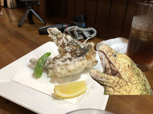 うつぼ専門店 ならではの一品