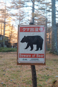 上高地 にもクマ注意の看板