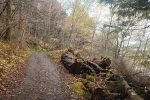 明神目指しガンガン進みます！