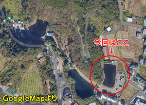 すそのフィッシングパークのミックスポンド