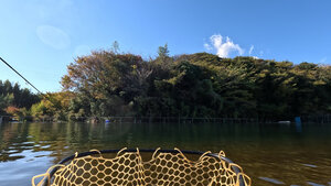 ミックスパンドへやってきた