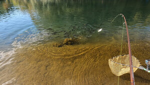 今日は珍しく絶好釣だ
