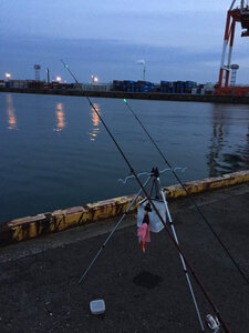 アナゴ釣りの当たりを待っている図